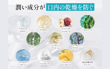 【全3回定期便】 セルフリッシュホワイト 舌磨きジェル ミントフレーバー風味 1本(100g) ＆ 舌磨きブラシ 3本 愛媛県大洲市/Gross Mountain合同会社 歯磨き粉 歯ブラシ 舌磨き ホワイトニング 歯周病 ジェル 口臭予防 オーラルケア[AGCQ060]