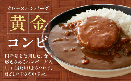 【カレー】ハンバーグカレーセット 30食入り[AGDT035]