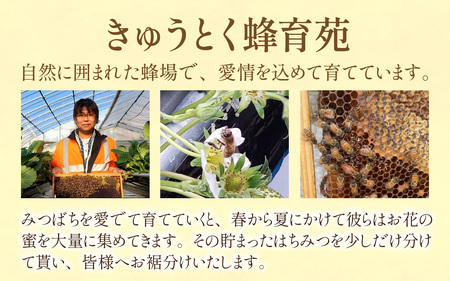 【先行予約】【期間限定】国産純粋生はちみつ[C-03001] | はちみつ