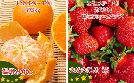 【2026年受付】ご家庭用 食べきり 旬果フルーツ定期便 全4回 