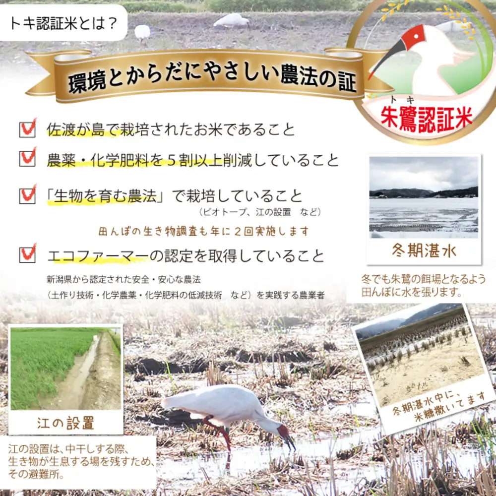 佐渡島産コシヒカリ「朱鷺と暮らす郷」無洗米15kg(5kg×3袋) 令和7年産 特別栽培米