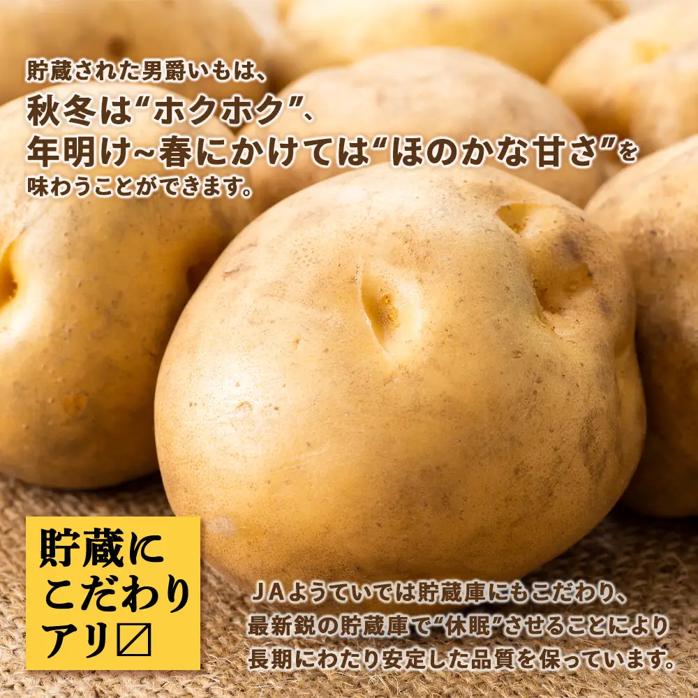 【2026年秋発送 先行予約】じゃがいも 馬鈴薯（男爵）Ｌサイズ　5kｇ＜JAようてい＞
