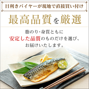 訳あり 有塩さば 骨取り 約1kg さば