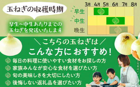 【ふるなびWEEK対象】玉ねぎ 4kg  【4月下旬～6月下旬頃に順次発送予定】 国産玉ねぎ