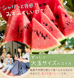 【先行予約】大玉すいか 1玉 約4kg 株式会社エフビーネット《5月上旬-7月中旬頃出荷》熊本県 菊池市 すいか スイカ 大玉 熊本県産 フルーツ