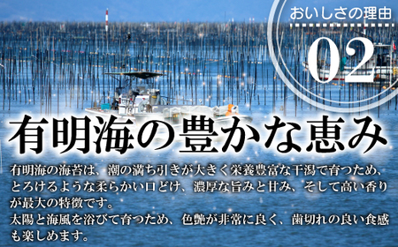 有明海産海苔 初摘み有明美人詰合せ(24袋) [M917] のり ノリ ご飯 おつまみ おやつ おにぎり 九州醤油味 明太子風味 国産