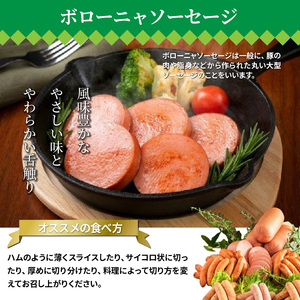 お腹いっぱいソーセージ＆ウインナー 5種 780g_29199A-1