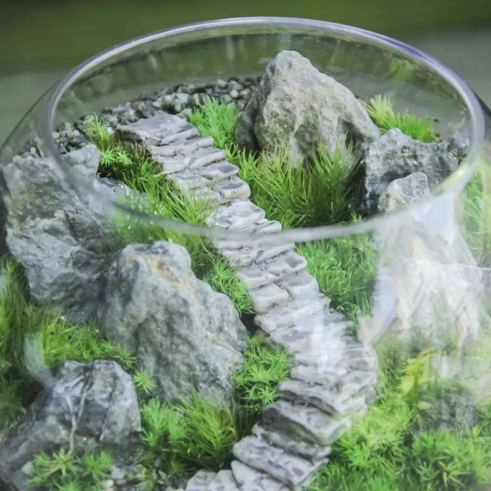 《苔テラリウム・コケリウム》階段の風景 ボウルLL