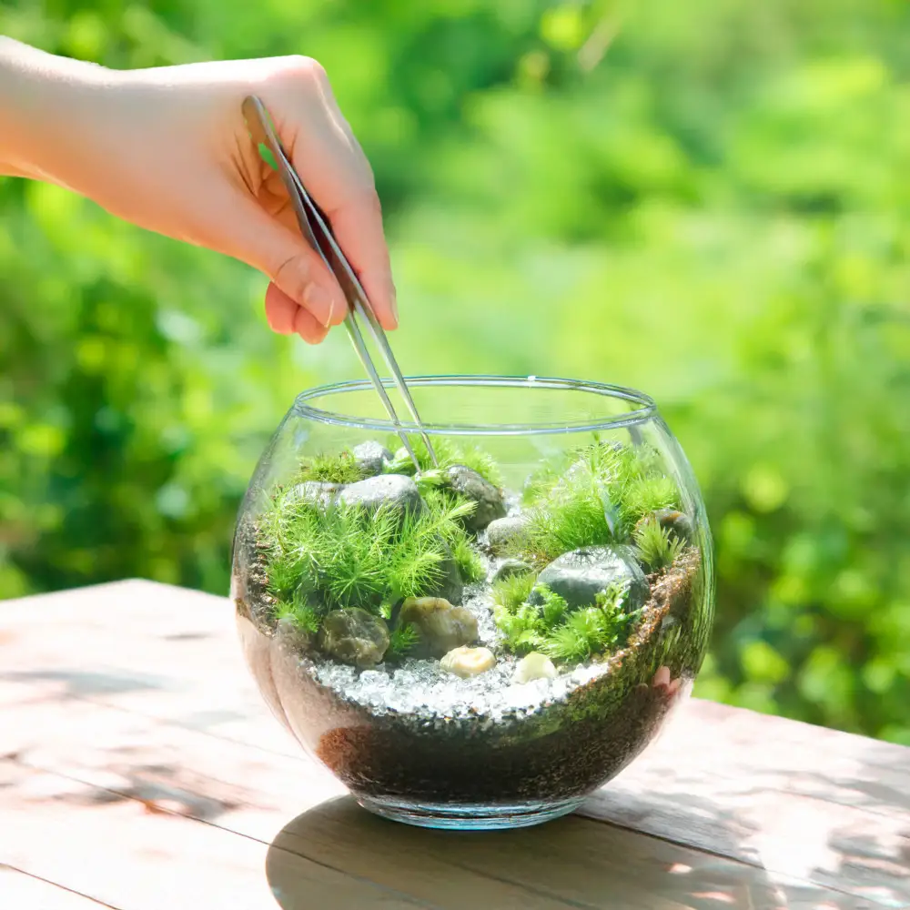 【渓流編】苔テラリウム制作キット（ツール付き）