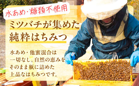 もちの木はちみつ（一斗缶24kg） / はちみつ 国産 非加熱 純粋 蜂蜜 天然 ハチミツ / 稲沢市 / 椿園株式会社[BMBI005]