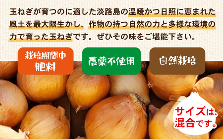 淡路島産 栽培期間中肥料・農薬不使用 自然栽培玉ねぎ 5kg ／ 玉ねぎ