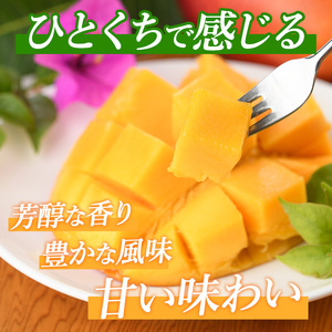 【2026年発送】しあわせ 完熟 マンゴー 2～3玉入 マンゴーの森 IB040-001 マンゴー フルーツ 果物