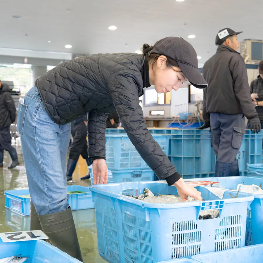 鮮魚 5kg～ 鮮魚ボックス 詰め合わせ 刺身 刺し身 さしみ 鮮度抜群 産地直送 高知県産