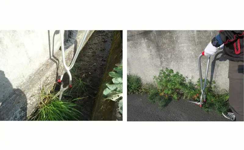 大進 立ち刈る君1号 4939736502969