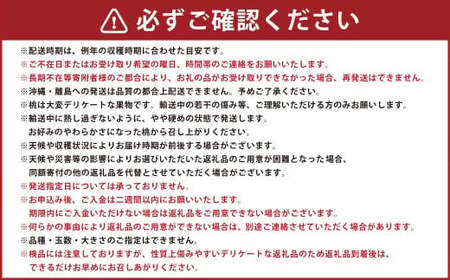 豊かな自然で、園主が愛情を注ぎ込んだ桃 （赤桃） 約2kg （6～11玉） 果物 くだもの 夏果実 フルーツ 【2026年8月発送予定】