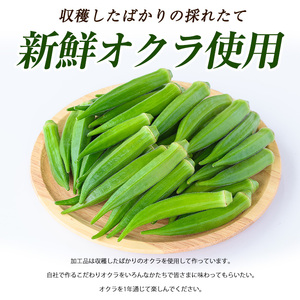 オクラそうめんとオクラうどんとオクラパウダーのセット アグリスタイル IB066-003 そうめん そうめん