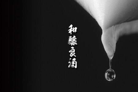 【2026年11月発送】《ふるなび限定》豊盃 純米しぼりたて（生酒） 1.8L×1本