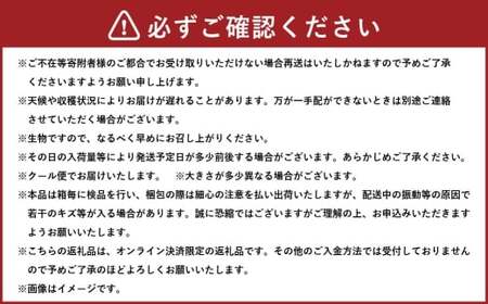 岡山白桃 ロイヤル 3玉×約200g （ Lサイズ ） 岡山県産 白桃 桃 もも モモ くだもの 果物 果実 フルーツ 国産 ギフト 贈り物 【 2026年7月上旬～8月下旬発送予定 】