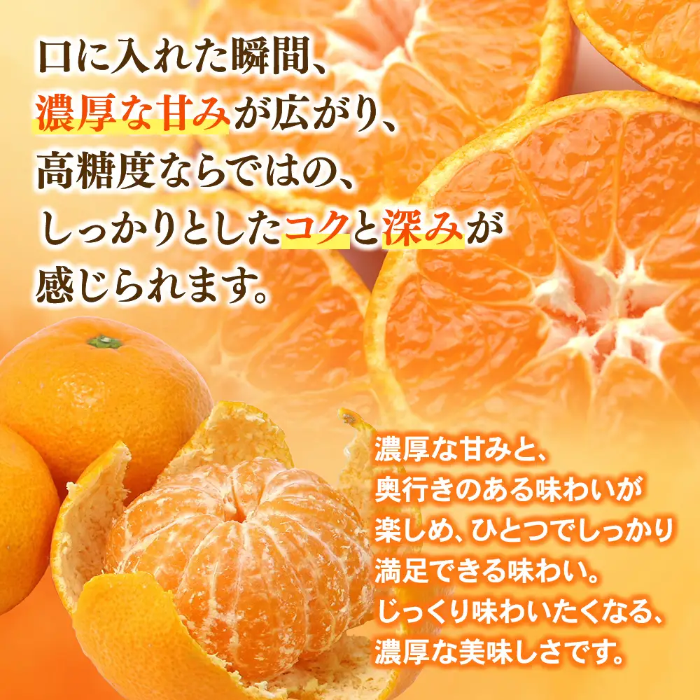 みかん 味3号 温州みかん 約10kg【mntf0006】