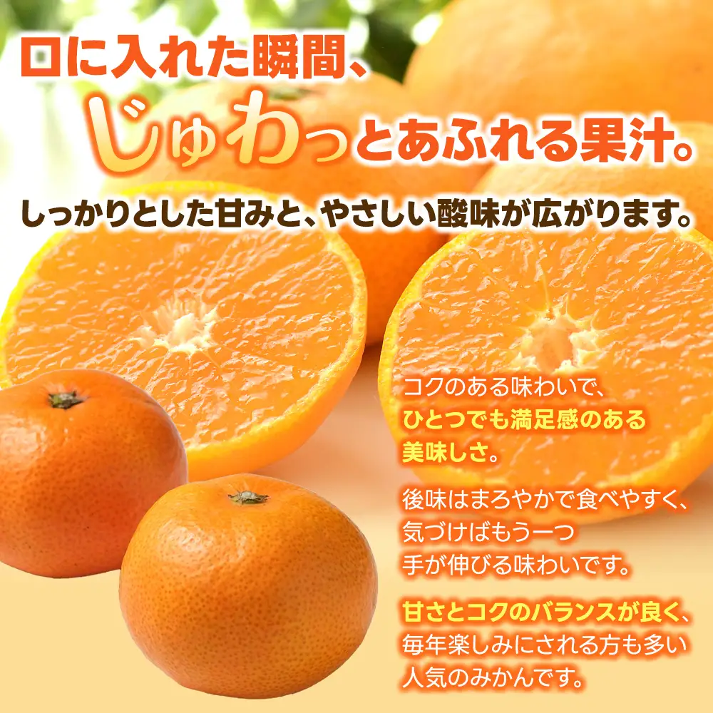 【数量限定】みかん ゆら早生みかん 約5kg【mntf0007】