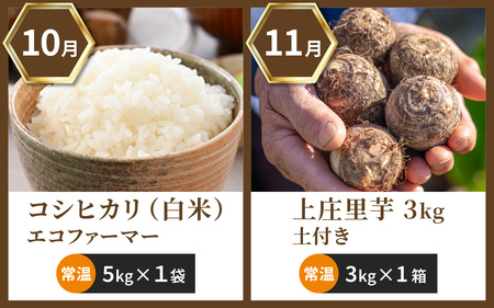 【越前おおの季節の恵み定期便 4回コース】秋冬特別コース 