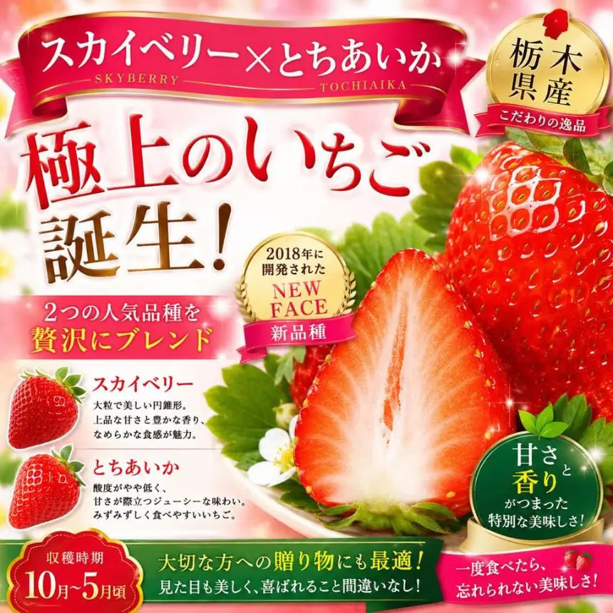 【先行予約】赤い宝石「とちあいか」「スカイベリー」食べ比べ 約540ｇ【栃木県共通返礼品】