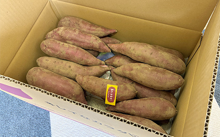 甘さ引き出す 熟成紅はるか 5kg さつまいも S～Mサイズ サツマイモ さつま芋 甘い おやつ 食品  F21T-471