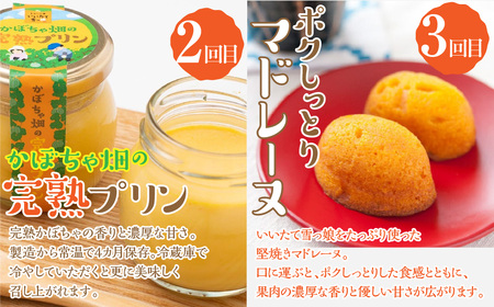 【3カ月定期便】かぼちゃスイーツ定期便 ITTAB009
