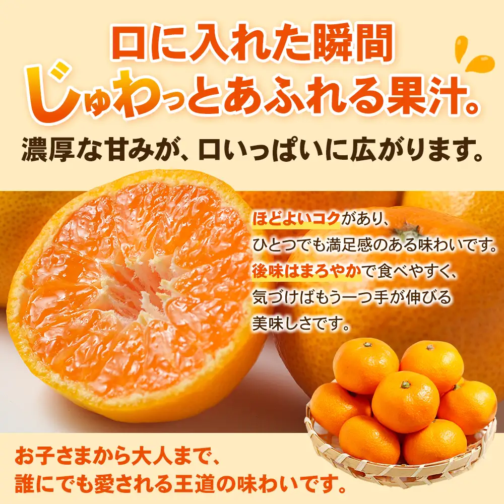 【数量限定】みかん 早生温州みかん 約10kg【mntf0010】