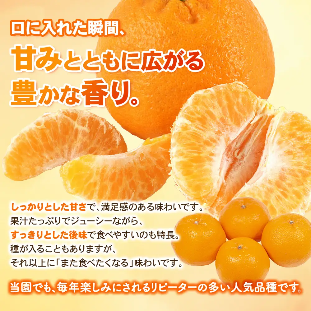 【先行予約】ポンカン みなと農園のポンカン 約5kg 【mntf0011】