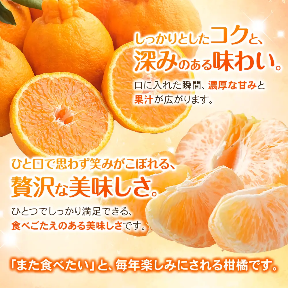 【先行予約】不知火 みなと農園の不知火 約5kg 【mntf0013】