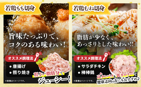 宮崎県産 豚肉＆鶏肉 よくばりセット 合計4.5kg_DB43-25