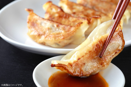 餃子 イカスミ 墨ちゃん 12個 6p 計72個 [伊江漁業 沖縄県 伊江村 ie47bde290006]