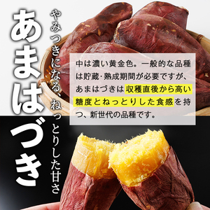 ＜先行予約受付中！2026年10月から順次発送予定＞冷凍焼き芋(あまはづき)(計2kg・500g×4袋)冷凍 焼芋 焼き芋 やきいも さつまいも さつま芋 レンジ小分け おやつ 宮崎県 門川町【YO-22】【株式会社 陽】
