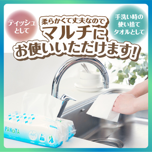 ペーパータオル PANOTA ソフトタイプ 60個 (1パック 200組 400枚) 柔らか 丈夫 吸水性 再生紙100% リサイクル SDGs 富士山の雪解け水 ハンドタオル 使い捨てタオル 日用品 消耗品 生活用品 防災 備蓄 富士市 [sf002-607]
