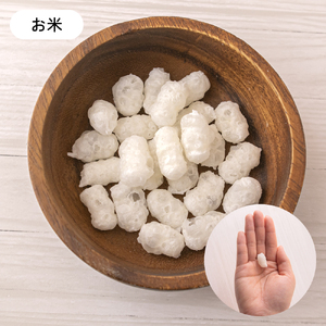 【3ヵ月定期便】いぬのお米のおやつ25g×3袋 いぬのご褒美チップス20g×2袋 ペットフード 犬 無添加 おやつ 美味しい ご褒美 ドッグフード いぬ 犬用 いぬ用 愛犬用 R030-016