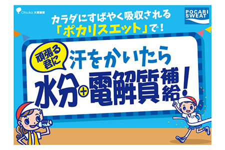 【3回定期便】ポカリスエット スポーツドリンク 500ml ×24本[FBD006]