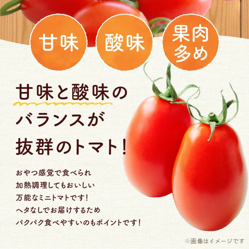 【先行予約】おやつに最適！Nicoロッソ 4kg ヘタなしミニトマト_Y124-0026
