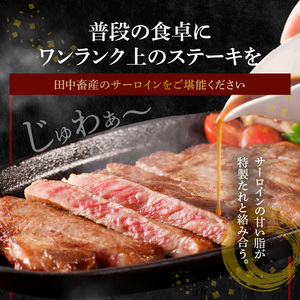 S001-022A_A4～A5等級 黒毛和牛 サーロインステーキ 1枚（300g）ステーキのたれ 1本付 / 黒毛和牛 牛肉 肉 サーロイン ステーキ