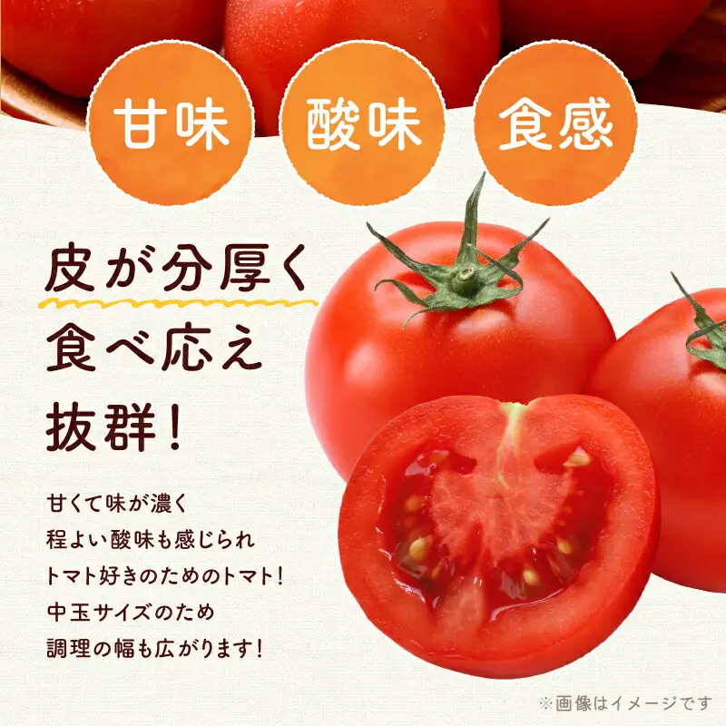 【先行予約】トマト好き必見！ファンゴッホ 4kg 肉厚中玉トマト_Y124-0027
