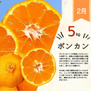 【定期便】【1・2・3月 全3回】紀州和歌山産旬 フルーツ定期便（いちご  約250g×4P 1月、ポンカン 5kg 2月、紀州デコ 約5kg 3月発送）