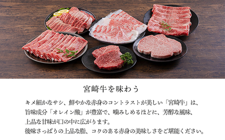 宮崎牛うで・もも肉セット450g 焼肉・BBQ用（2～3人前） 内閣総理大臣賞4大会連続受賞のお肉 ブランド牛 黒毛和牛 大人気のヘルシーな牛肉 [和牛 国産 黒毛和牛] TF0903-P00020