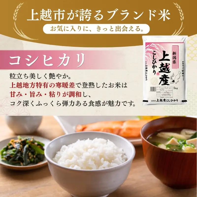 【最短3日配送】農家応援! コシヒカリ 5kg 緊急価格改定 新潟県 上越市産 令和7年産 お米 精米 米 ご飯 送料無料