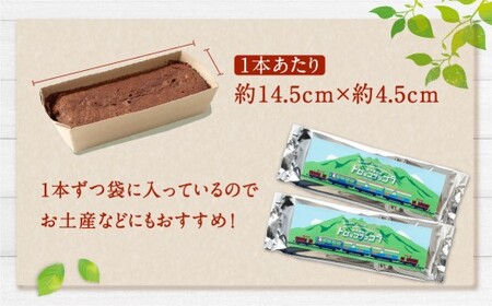 南阿蘇鉄道 トロッコショコラ 20本（約145g×20本）【2026年7月発送】菓子 お菓子 焼き菓子 チョコ風味 ショコラ ガトーショコラ 個包装 小分け