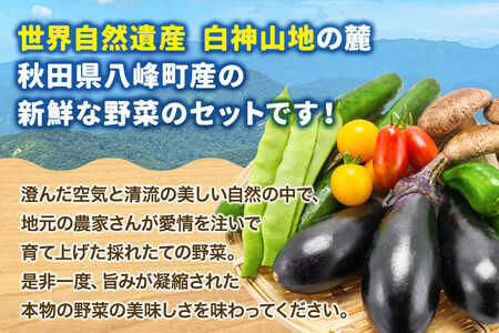 野菜詰合せ  【先行受付】《定期便3回 隔月 7月／9月／11月にお届け》6～9品程度 （計8～10kg程度）自然で採れた旬の野菜！！世界遺産「白神山地」の旬野菜