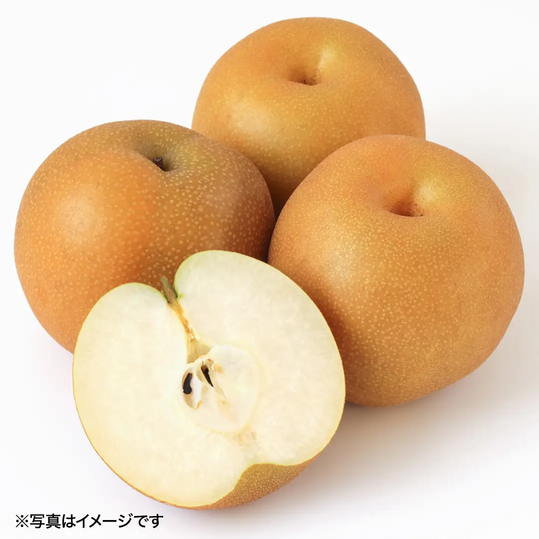 豊水 超大玉 約 3kg 3～4玉 (茨城県共通返礼品:かすみがうら市) 2026年 マスカット ぶどう 葡萄 ブドウ フルーツ 果物 くだもの 旬 食べ比べ セット 詰め合わせ 国産 産地直送 ギフト 贈答 プレゼント 手土産 お土産 [DH023sa]