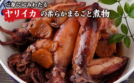 【訳あり】３種のイカ たっぷり ３kg ! ＜加熱用＞ ヤリイカ、アカイカ、マツイカ 詰め合わせ 小分け 下処理済　煮物 からあげ 天ぷら 炒め物 サラダ おつまみ などに 使いやすい 烏賊 イカ 海鮮 魚介　三重県 尾鷲市 人気 大満足 返礼品 MT-15