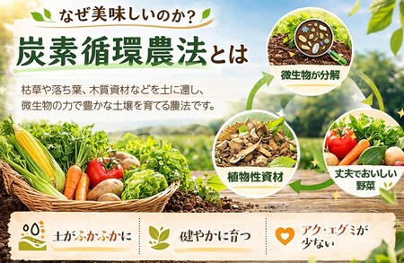 B2-7805　【3回定期便】野菜セット（7品目前後/1回）