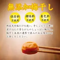 無添加梅干し 【A級品】紀州南高梅 紀州完熟白干し梅 500g 塩分23％ / 南高梅 和歌山県産 天日塩 調味料不使用 添加物不使用 保存料不使用 熱中症対策 昔ながら しょっぱい梅 返礼品 ギフト 贈り物 お中元 お歳暮 贈答 熨斗対応可 せんのうめ 仙宝 【spo011】 