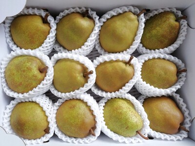 山形ラ・フランス　３ｋｇ　ご家庭用　0148-2616